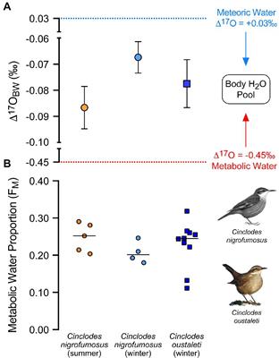 A multi-isotope approach reveals seasonal variation in the reliance on marine resources, production of metabolic water, and ingestion of seawater by two species of coastal passerine to maintain water balance